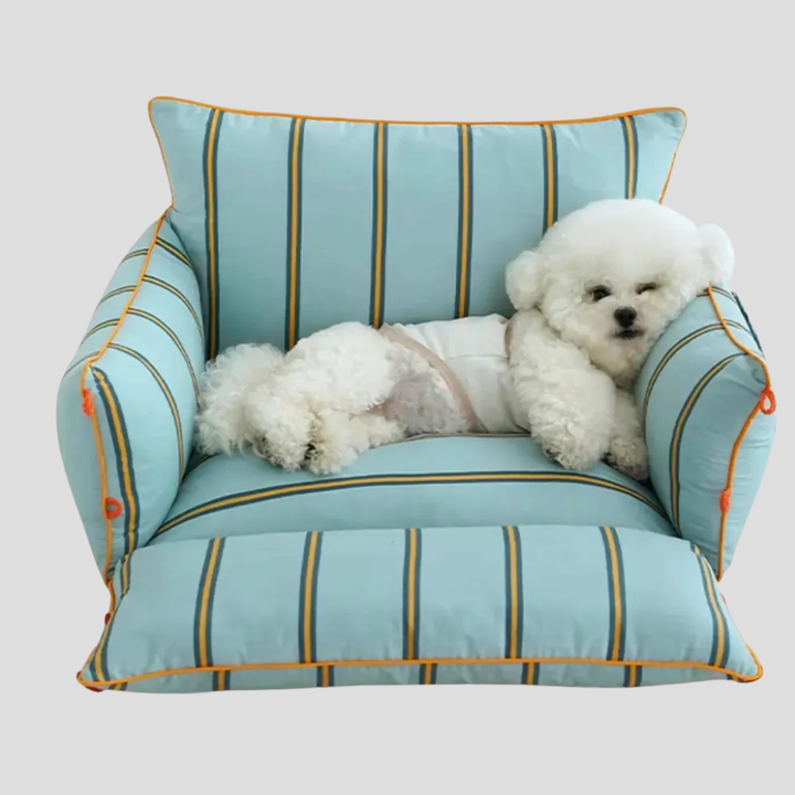 Raised pet bed for dogs. Soft, supportive blue dog sofa with washable cover and non-slip bottom for small to medium pets.