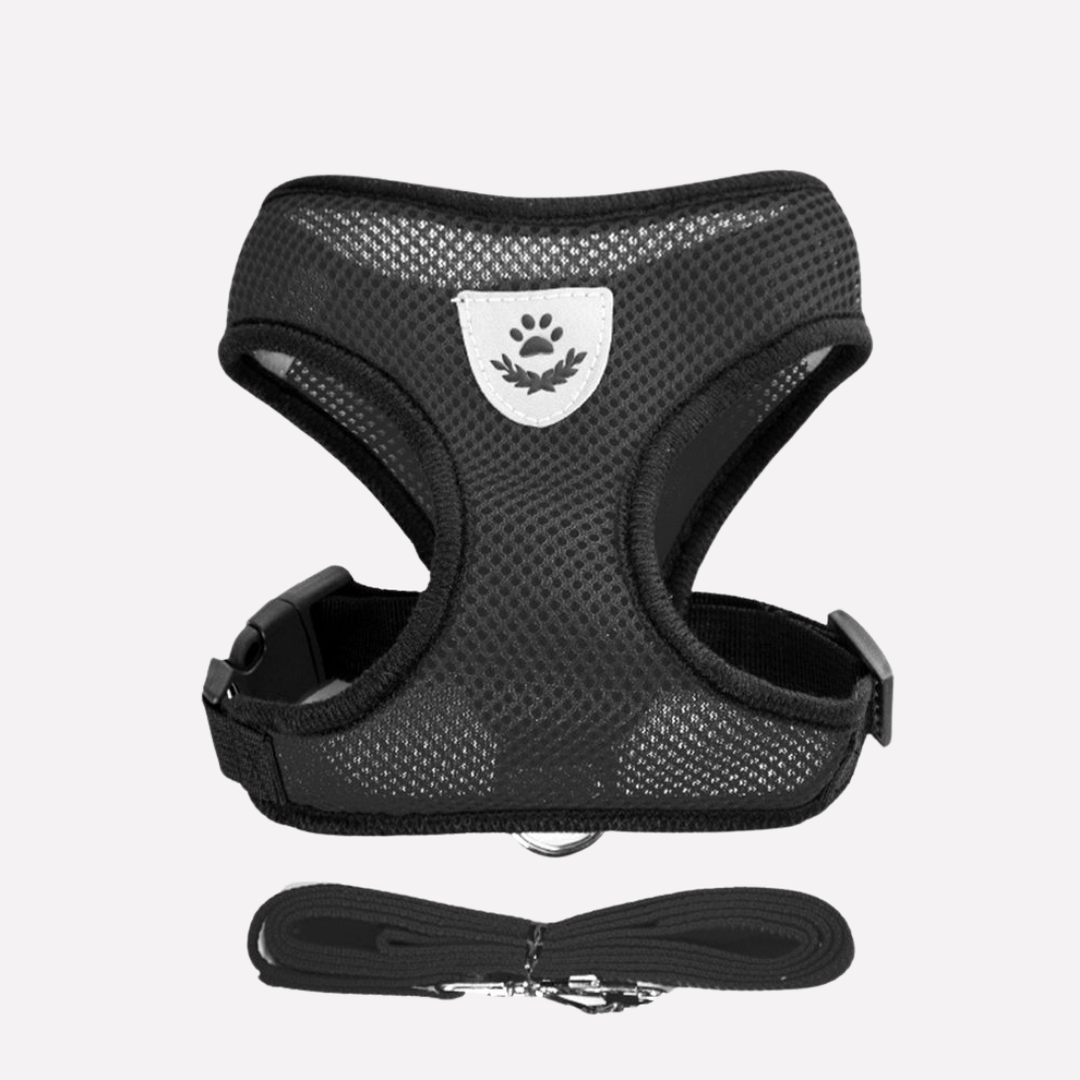 Adjustable puppy mesh harness & leash for small dogs, perfect for daily adventures.