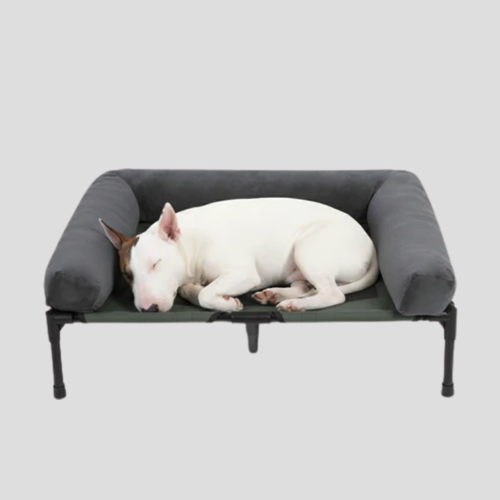 Comfortable large dog bed; elevated design & orthopedic bolster provide support & restful sleep for big pets, indoor/outdoor.