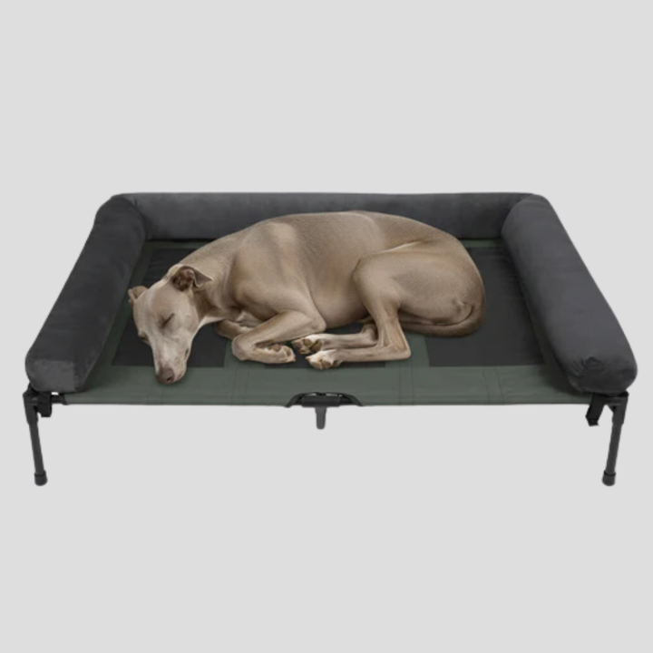 Elevated pet bed for large dogs, with sturdy frame & bolstered sides. Offers orthopedic support & airflow for indoor/outdoor use.