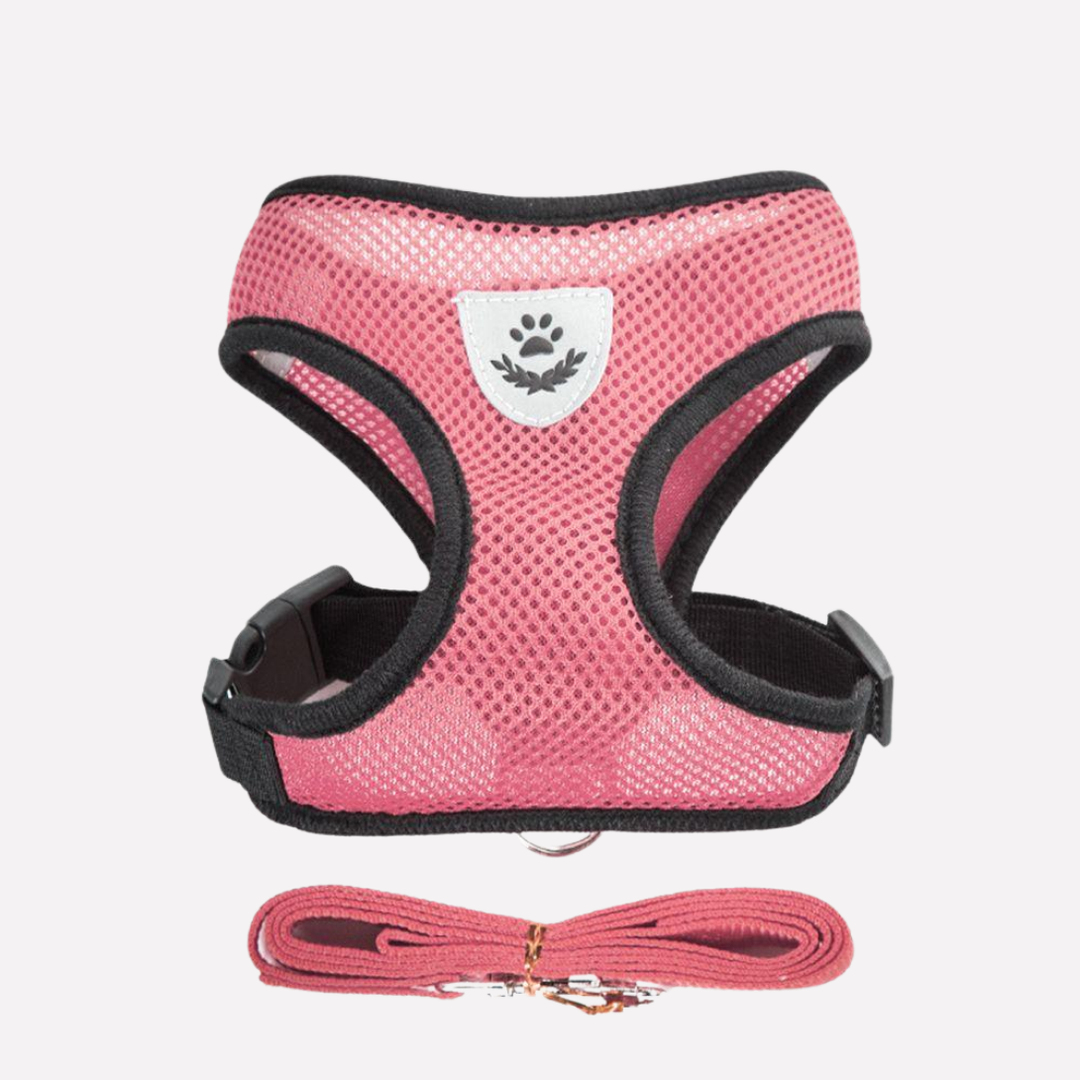 Soft, breathable mesh pet harness with matching leash, ensuring maximum comfort for your dog.