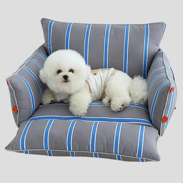 Stylish gray raised dog bed, a cozy pet sofa with a supportive bolster, washable cover & non-slip design for ultimate comfort.