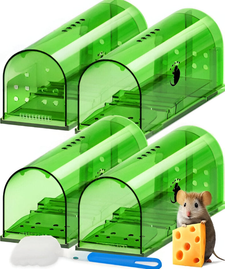 4-pack of humane no-kill mouse traps for safe, live catch rodent control in your home, pet-friendly.