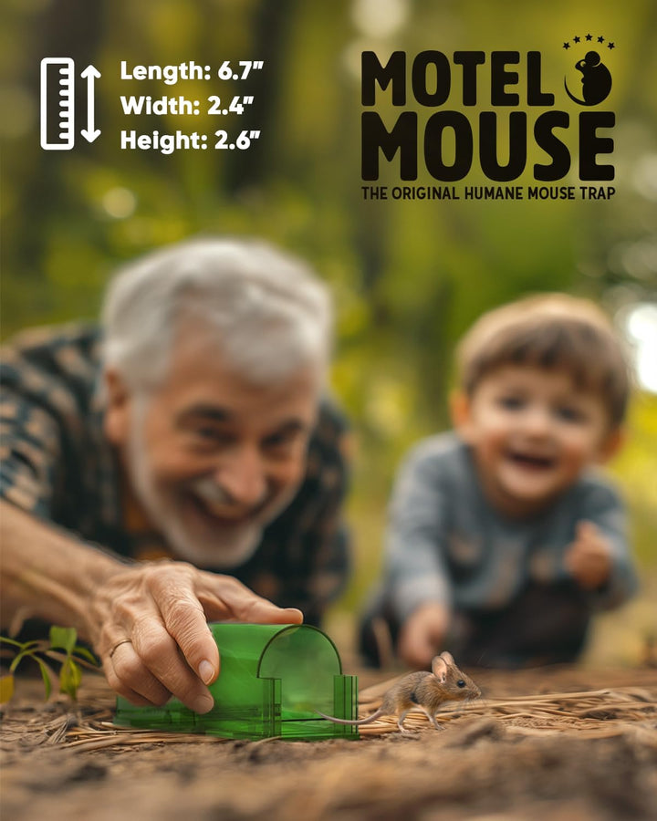 Effective humane mouse traps (4-pack) providing no-kill, live catch rodent control for indoor pest management.