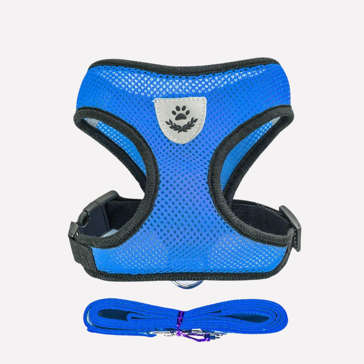 Complete dog walking set: Durable, breathable mesh harness & matching leash for puppies and small dogs.