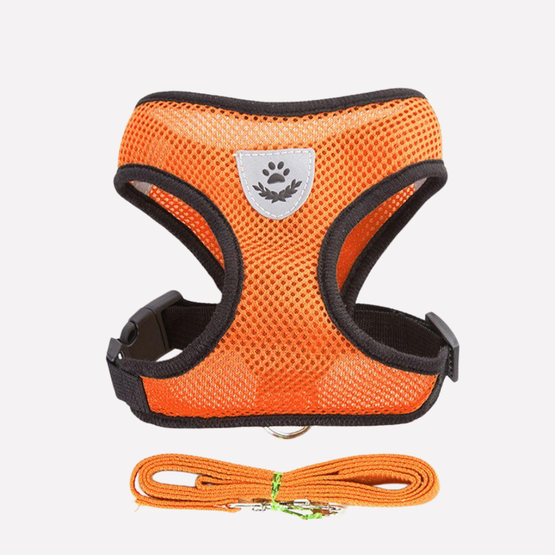 No-pull, adjustable mesh puppy harness & leash set, designed for secure and comfortable everyday walks.