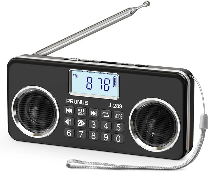 Portable HD Radio with Dual Speakers and LCD Display