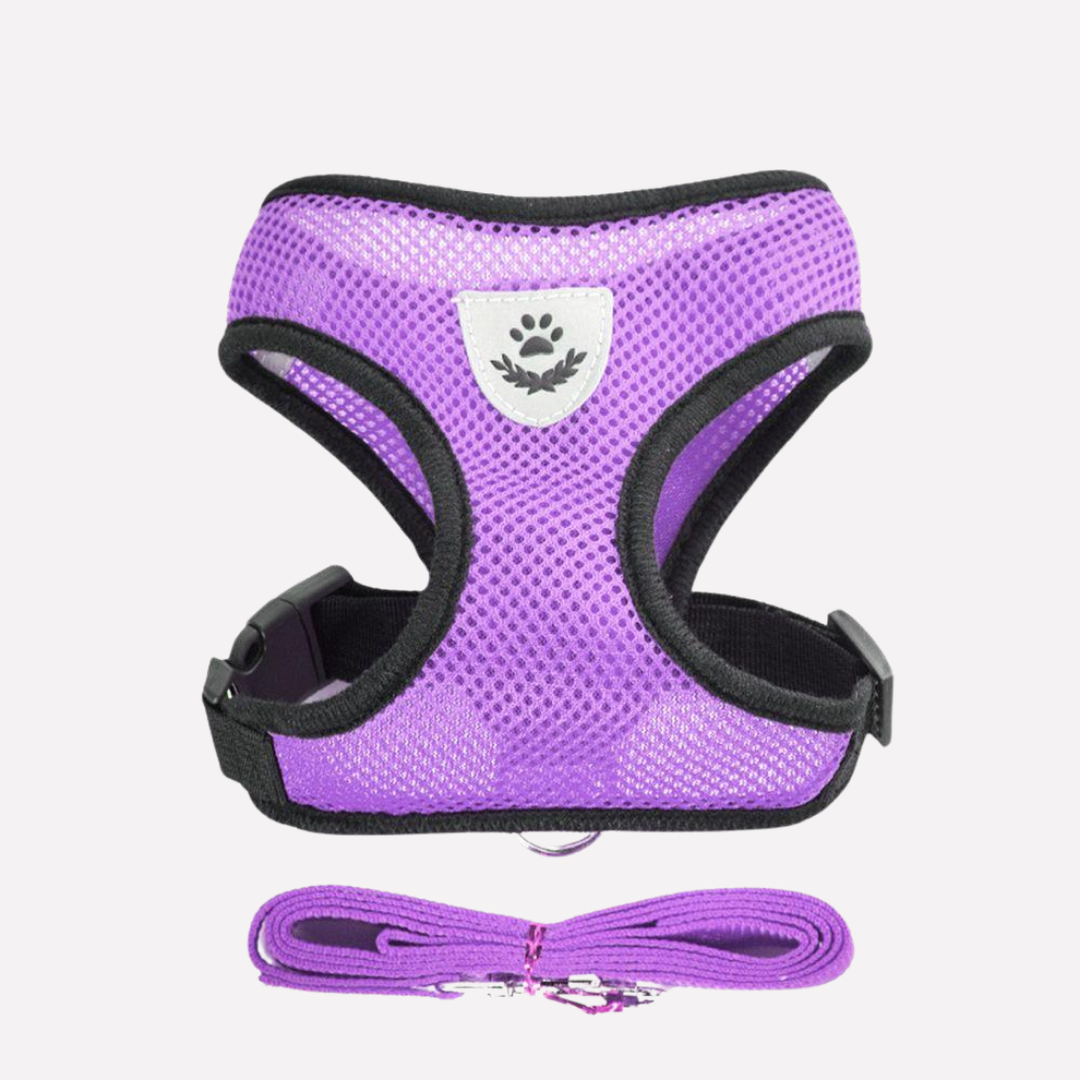 Pet supplies: Breathable mesh dog harness, adjustable, with matching leash for puppies.