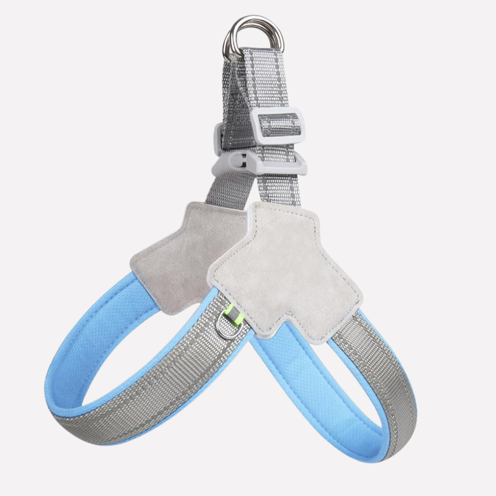 Durable no-pull dog harness for comfortable outdoor walks, pet travel, and effective training sessions.