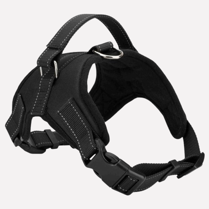 Red dog harness and matching leash set for outdoor walks. Durable pet walking gear for small and large dogs.