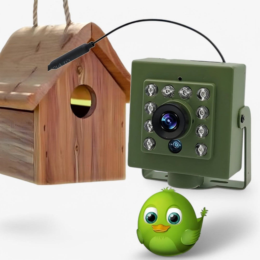 Weatherproof outdoor camera for bird watching & wildlife monitoring, featuring HD video & WiFi.