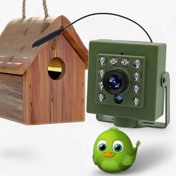 Weatherproof outdoor camera for bird watching & wildlife monitoring, featuring HD video & WiFi.