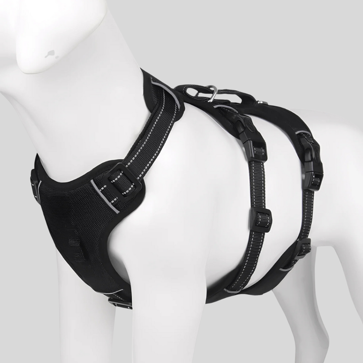 Adjustable pet harness providing comfort and safety for dogs during walks, with reflective outdoor gear.