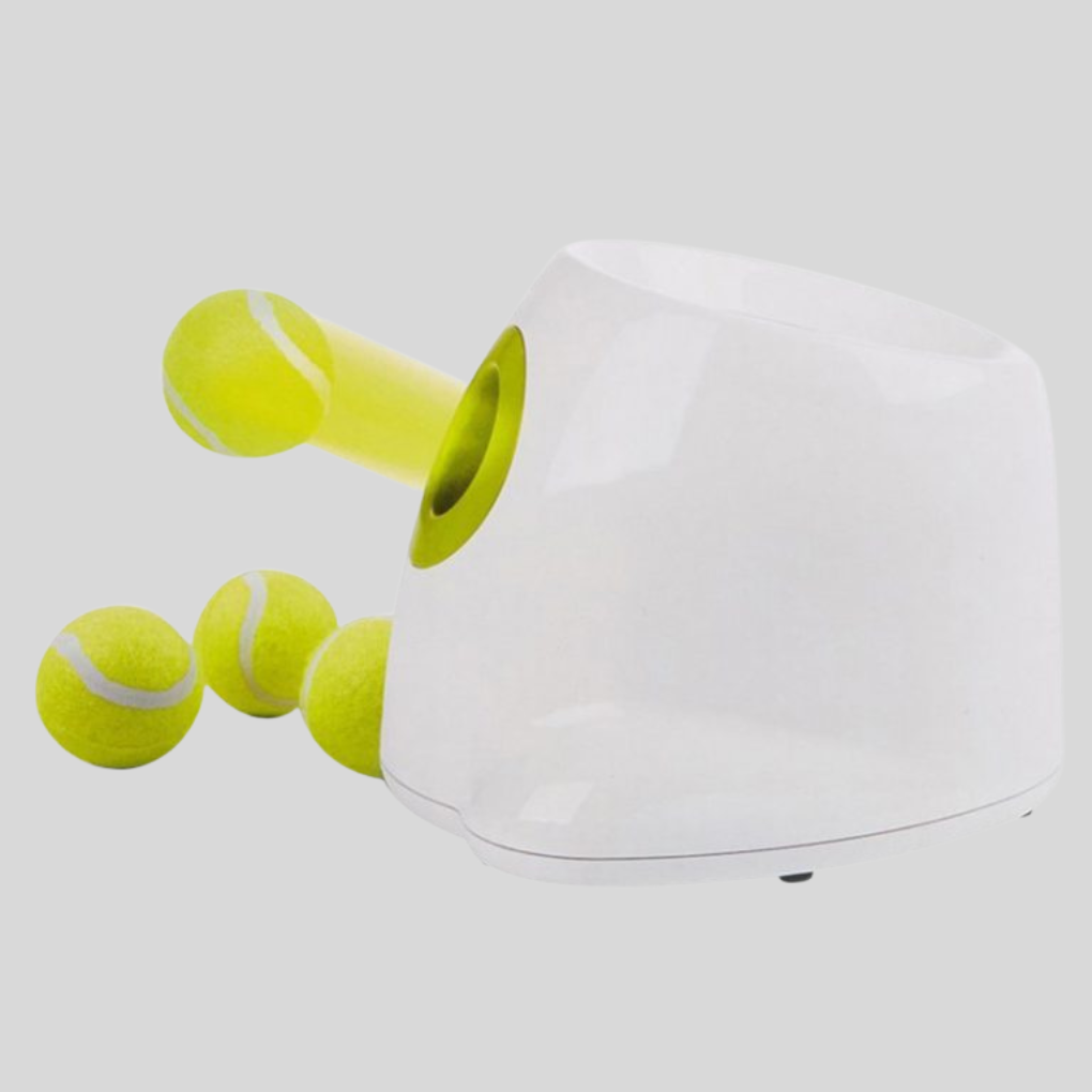 Smart automatic dog ball launcher for engaging fetch & pet exercise. Essential interactive dog toy & training aid.