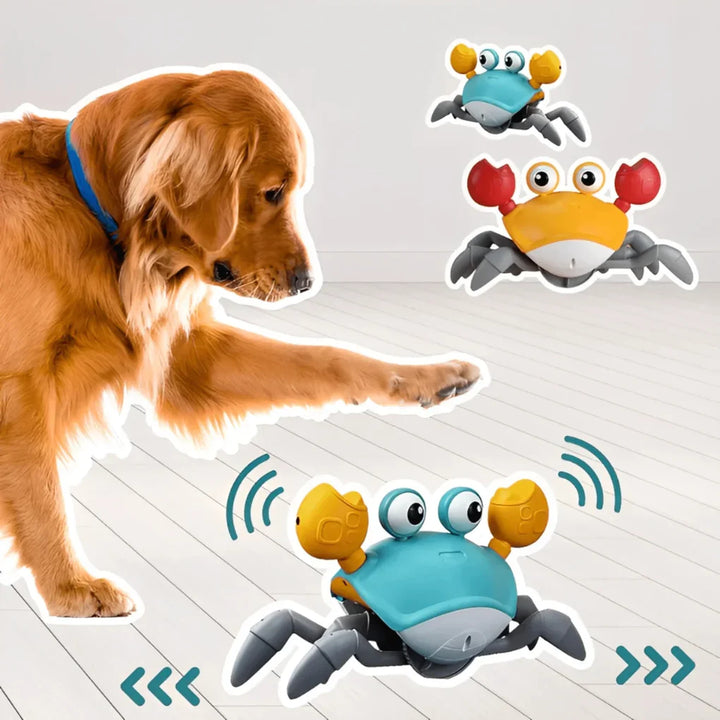 Soft, playful crab-shaped dog toy featuring a squeaker and crinkle paper for engaging canine fun.