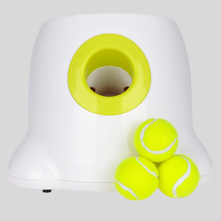 Dog automatic ball launcher in action, providing hands-free fetch. Interactive pet toy for exercise & dog play.