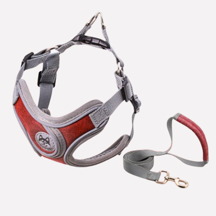 Reflective dog walking harness & leash set. Adjustable pet vest for safety & comfort, suitable for small, medium, large dogs.