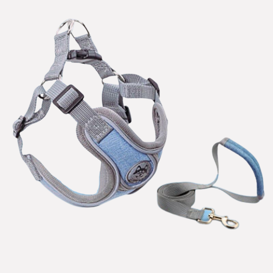 Comfortable pet vest harness & leash for dogs. Adjustable Oxford fabric outdoor gear ensures safety for walking small-large pets.