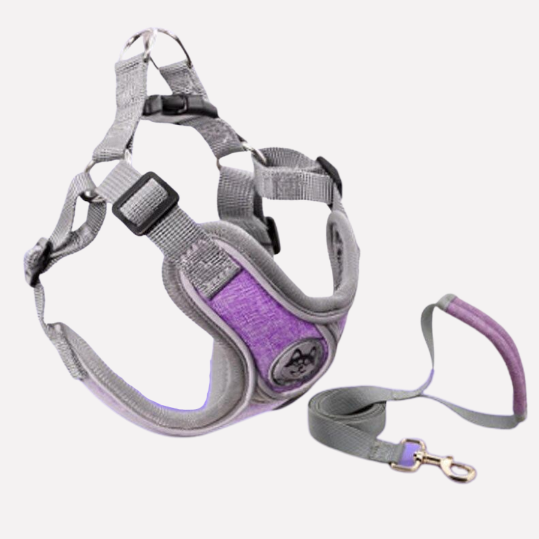 Adjustable reflective dog harness & leash set. Oxford fabric pet comfort vest for safe walks. Fits small, medium, and large dogs.