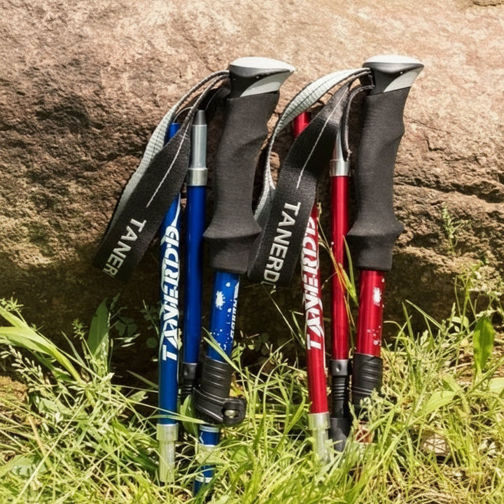 Pair of lightweight aluminum adjustable hiking poles, ready for trekking adventures and providing essential trail support.