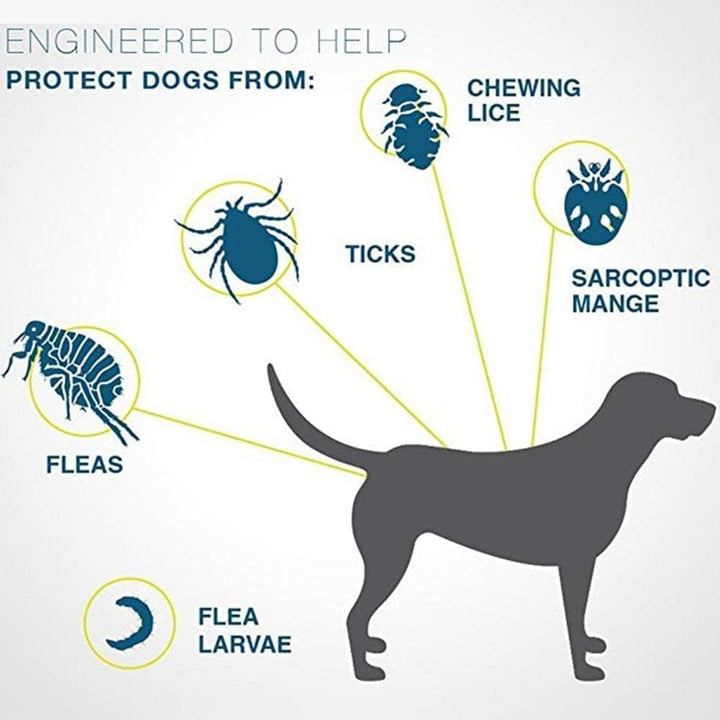 Effective pet pest control: an 8-month waterproof flea and tick collar for ultimate dog and cat protection.