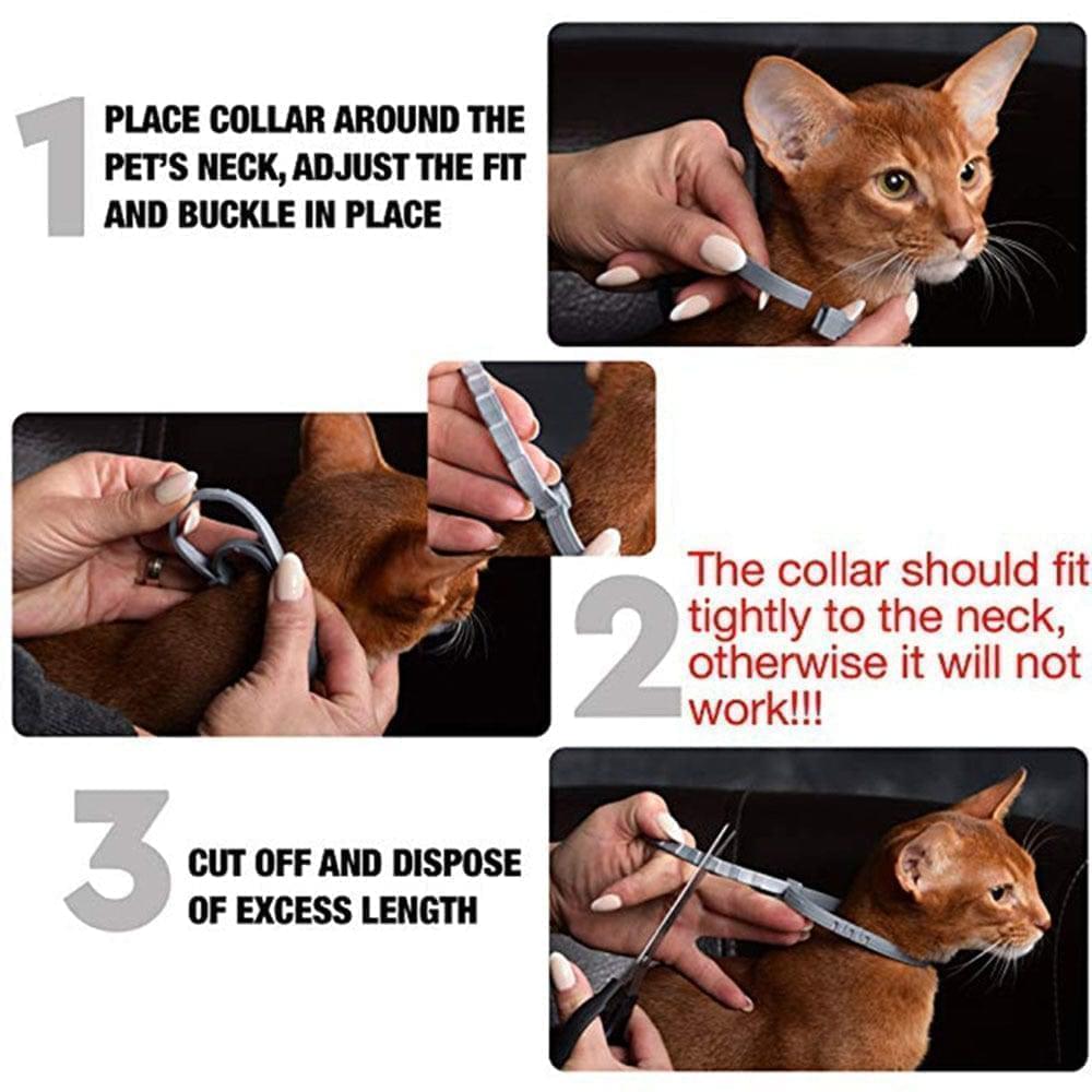 Advanced flea & tick protection collar, offering 8 months of continuous pest defense for pets.