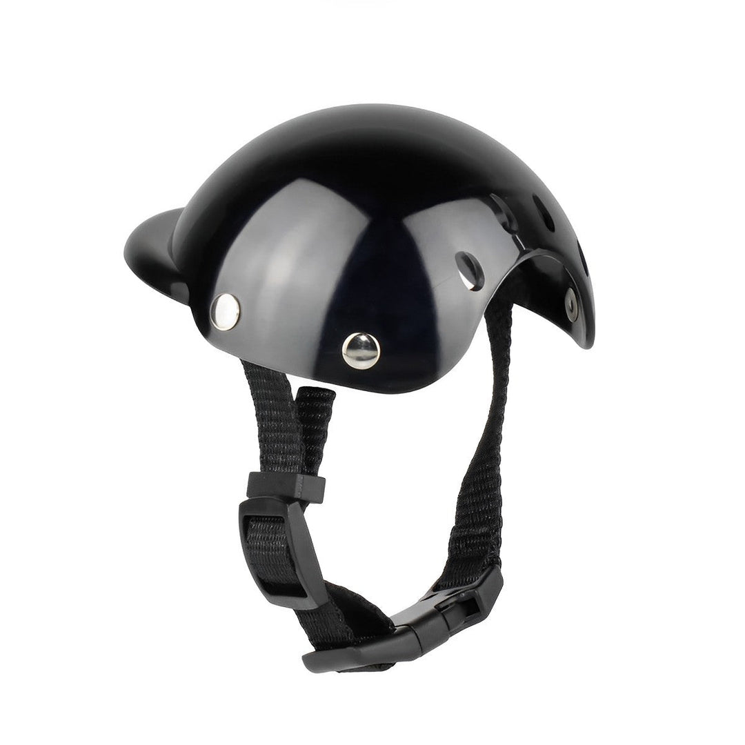 Stylish dog in a black motorcycle helmet & goggles, ready for a ride. Perfect adventure dog accessory.
