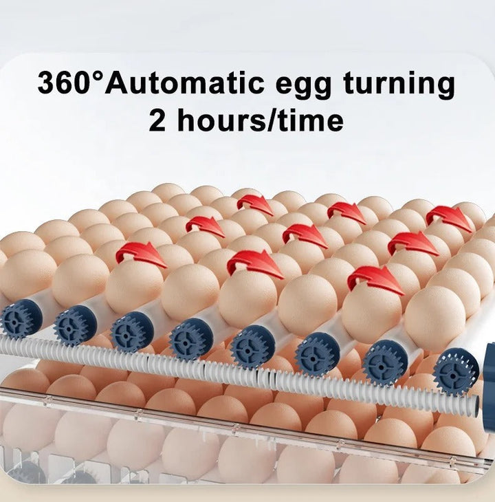 Fully automatic egg incubator with smart temperature & humidity control for successful home hatching results.