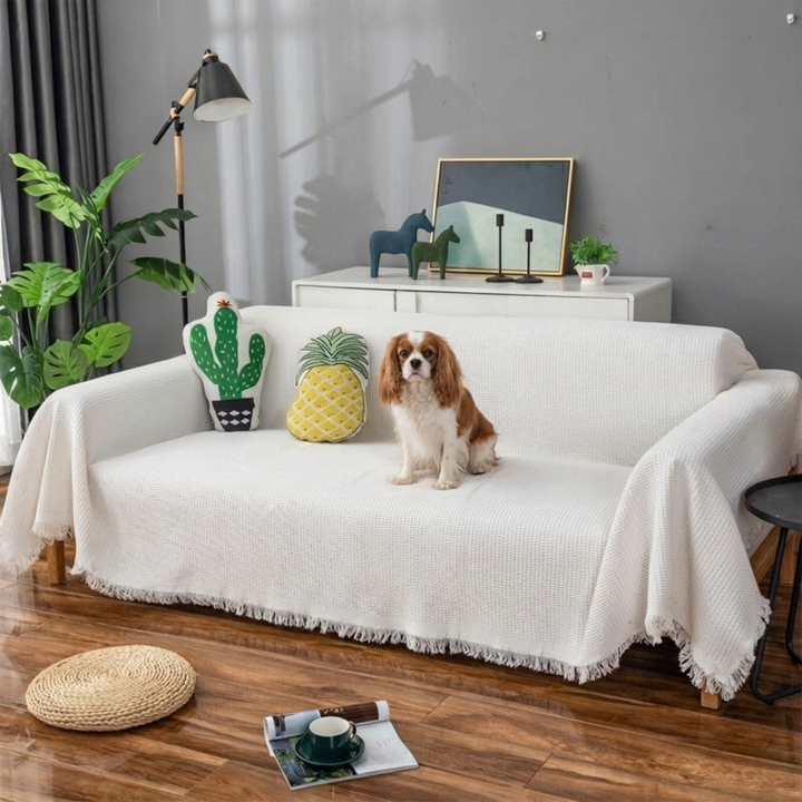 White stretchable pet-friendly slipcover for sofa protection, soft & machine washable living room decor.