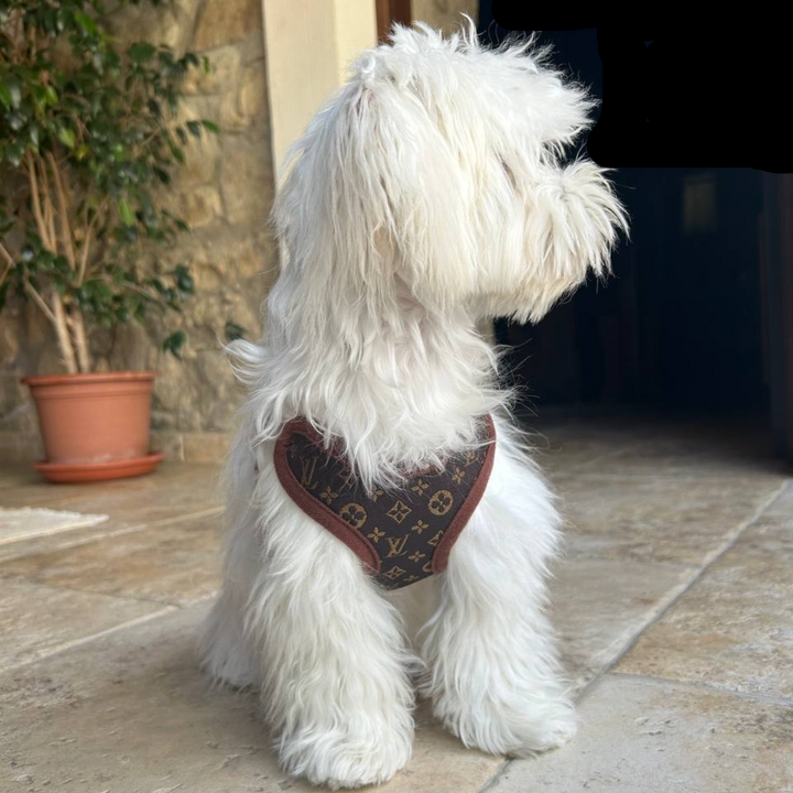 Adjustable no-pull dog harness & matching leash. Brown comfort fit pet gear for safe, happy walks.