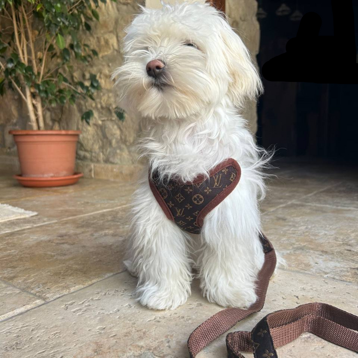 Close-up of a brown comfort fit dog harness, designed for no-pull and happy dog walking. Adjustable.