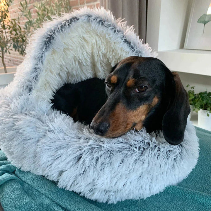 Cozy Cave Dog Bed for dogs seeking comfort & security. Plush design helps reduce anxiety & promote deep sleep.