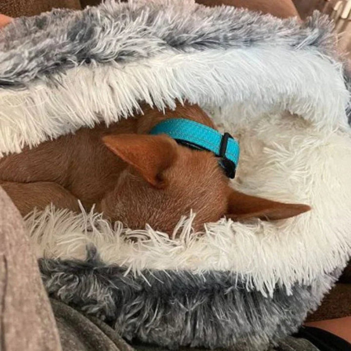 Plush Calming Dog Bed for deep relaxation. Orthopedic support ensures pet comfort & anxiety relief for puppies.