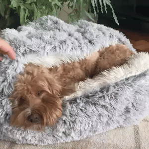 Orthopedic Calming Cave Dog Bed. Designed for pet comfort, deep sleep, and anxiety relief for all dogs.