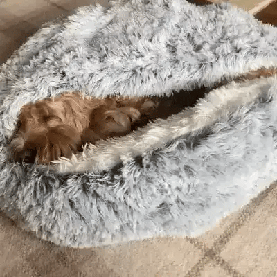 Cozy Puppy Bed for deep relaxation. Calming cave design offers secure comfort for anxious puppies.