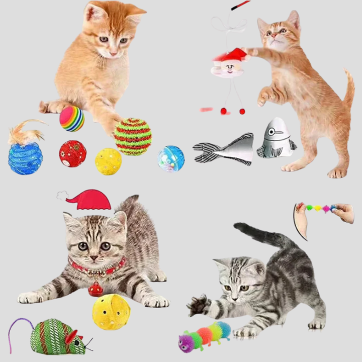 Interactive cat toy advent calendar with 24 daily pet surprises. Great Christmas gift for feline fun and play.