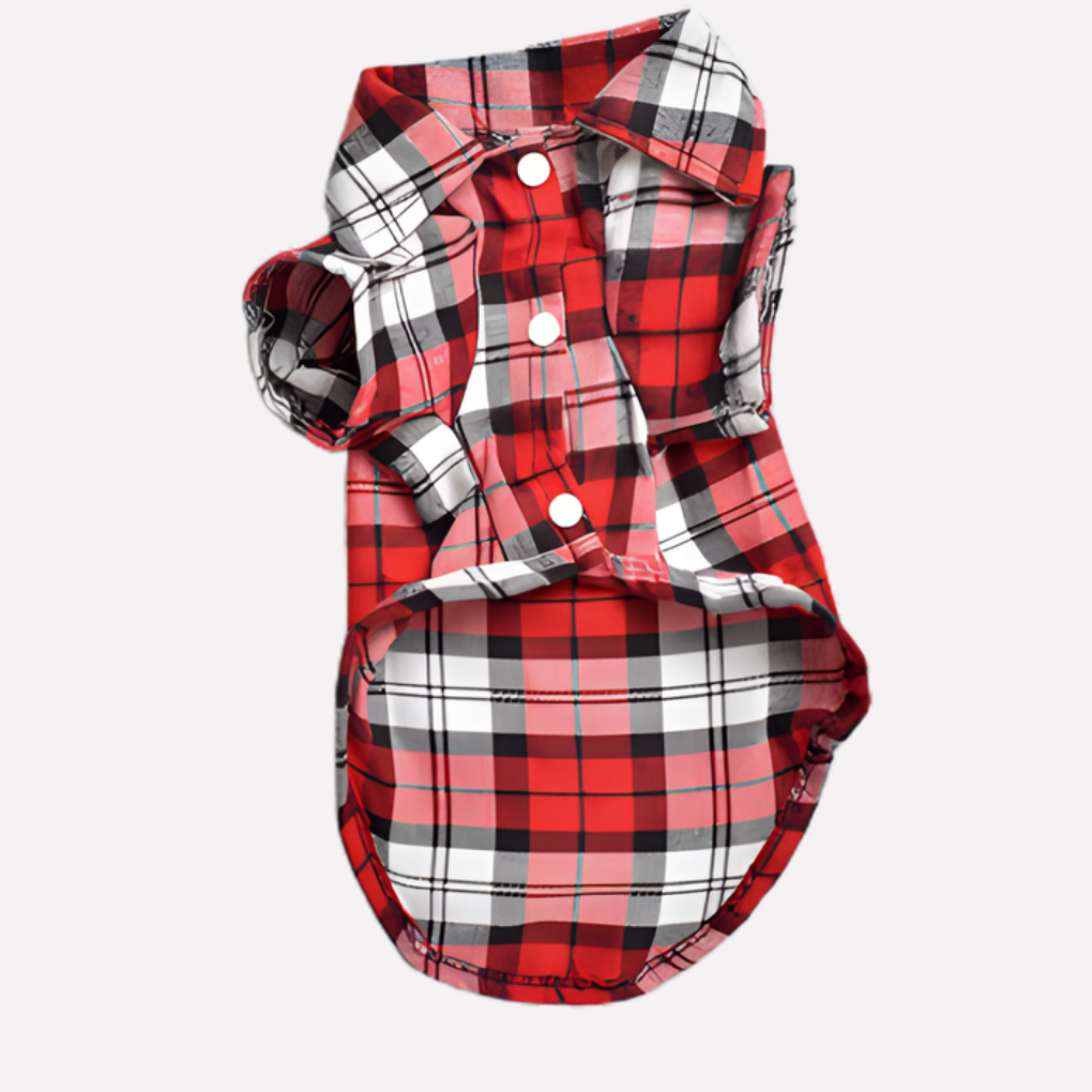 Adorable button-down plaid dog shirt, classic apparel for small and medium furry friends.