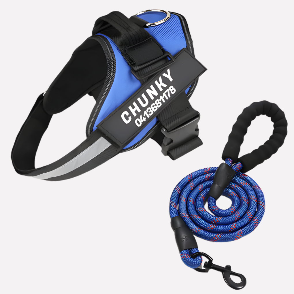 Comfortable anti-pull dog harness for improved walks. Reduces pulling for a better experience.