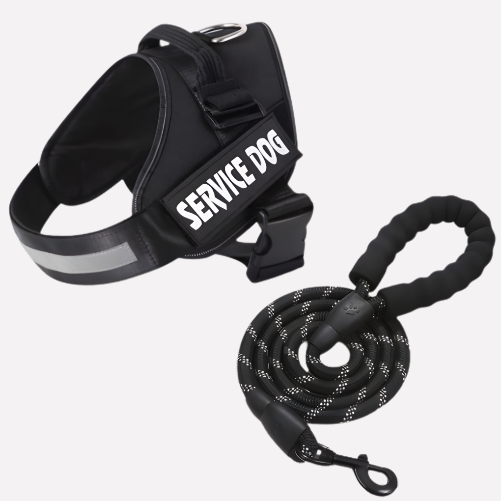 Customizable no-pull dog harness. Personalize with your dog's name for a unique pet vest.