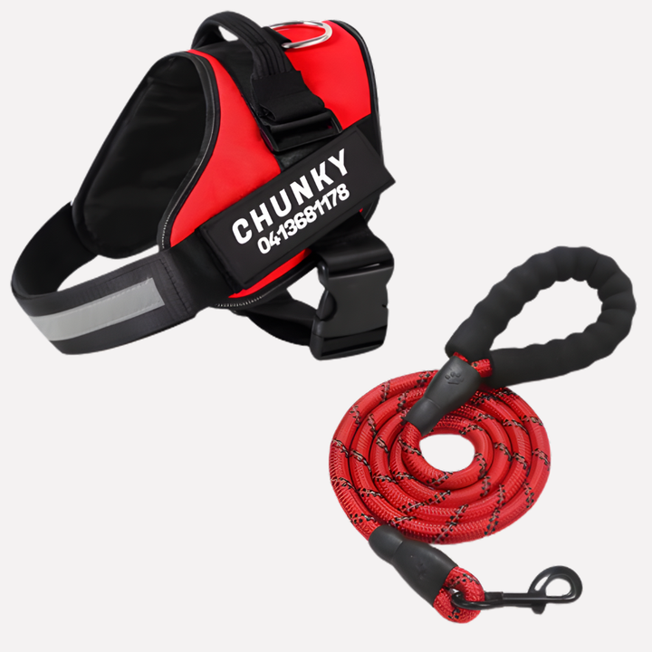 Anti-pull dog training harness. Designed for safe, comfortable walks and effective training.