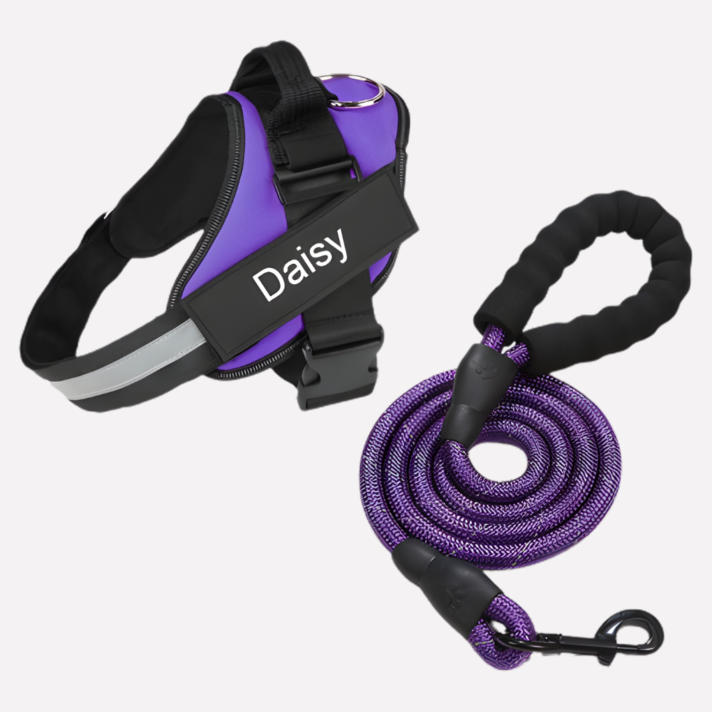 Soft, comfortable dog vest harness. This pet walking gear ensures a snug fit and no pulling.