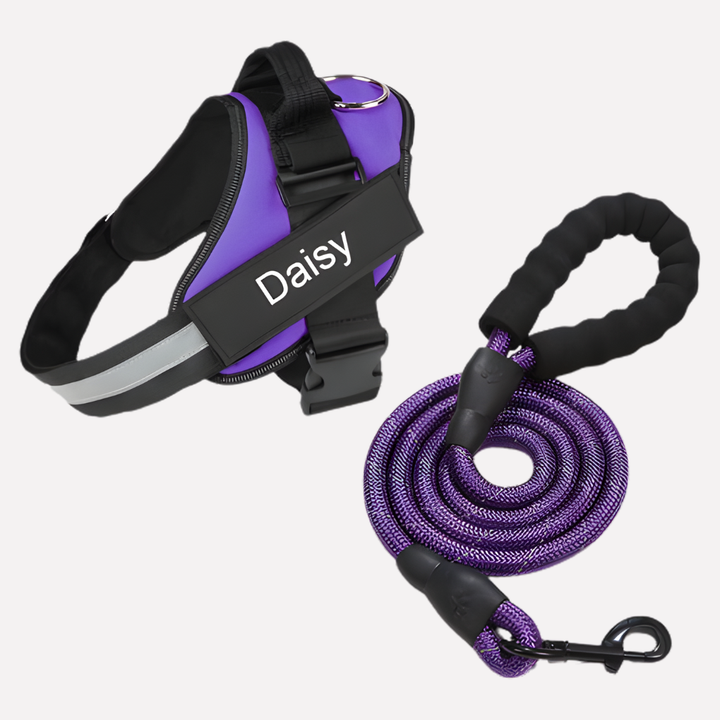 Soft, comfortable dog vest harness. This pet walking gear ensures a snug fit and no pulling.