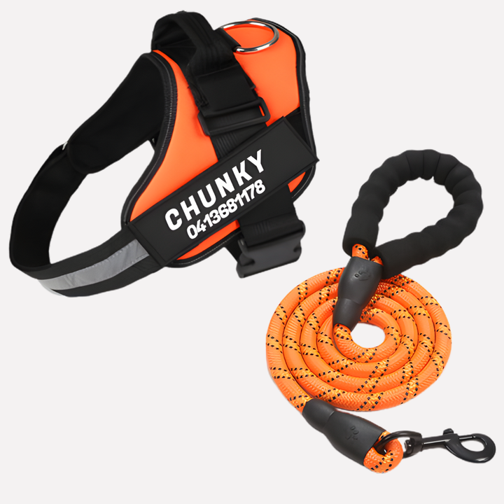 Personalized anti-pull dog harness, ideal for daily walks & training. Custom fit for all breeds.