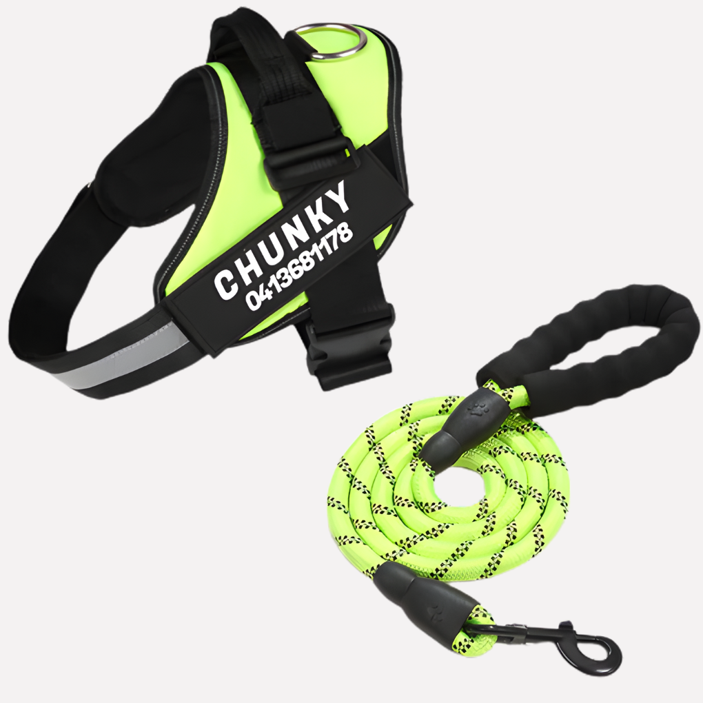 Durable anti-pull dog harness with custom name patch. Comfortable, no-choke design for pets.