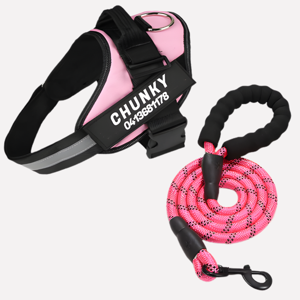 Lightweight no-pull dog harness. Customizable vest for better control during walks & training.