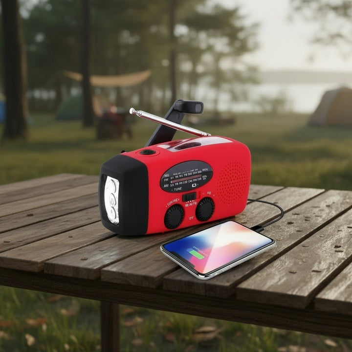 Survival gear: Emergency weather radio with hand crank, powerful flashlight, and phone charger for power outages.
