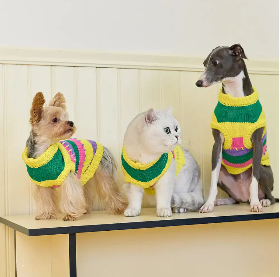 Cozy color-blocked striped sleeveless dog jumper for small dogs & dachshunds. Stylish knit pet clothing.