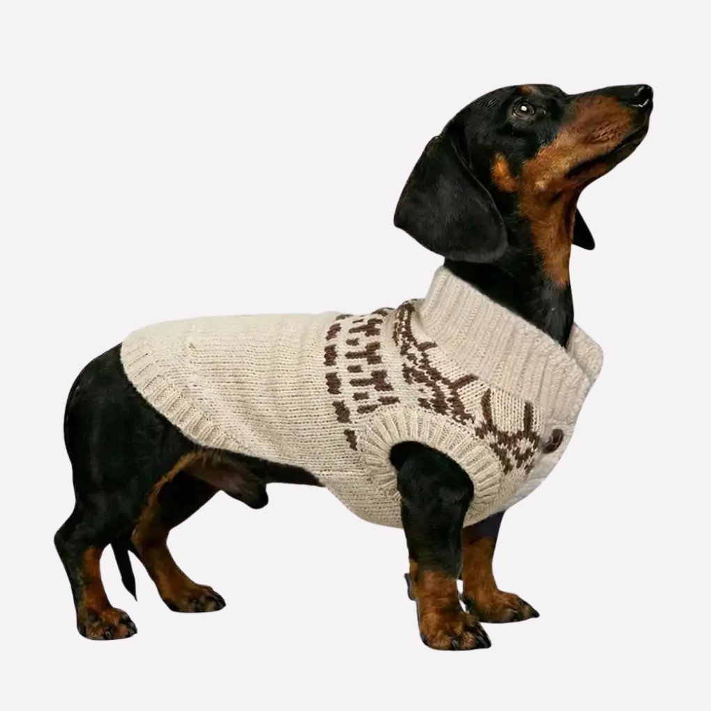 Cozy khaki Fair Isle sleeveless dog jumper, perfect knit pet clothing for dachshunds and long-bodied dogs.