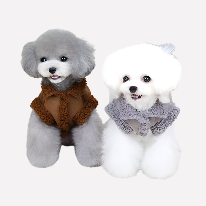 Cozy winter dog jacket for small to medium breeds, keeping pets warm in cold weather. Durable dog apparel.