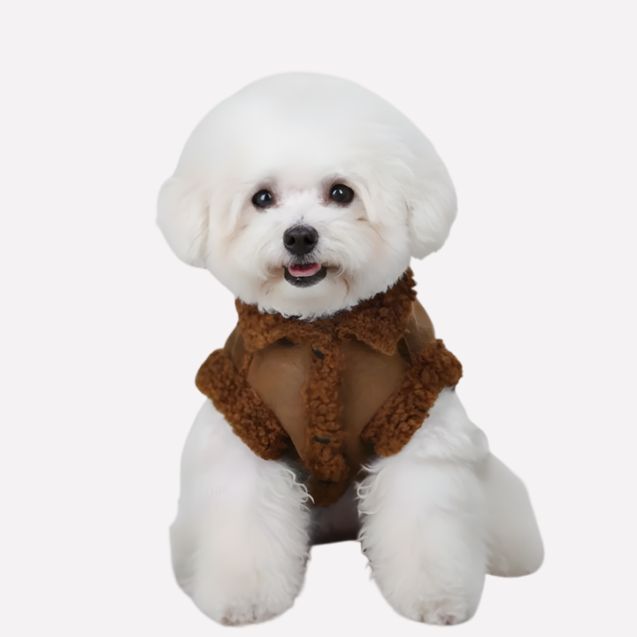 Soft, cozy winter dog jacket for small & medium breeds. Warm pet coat, ideal for cold weather dog walks.